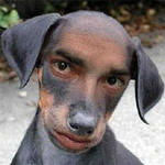 От собаки до человека один шаг