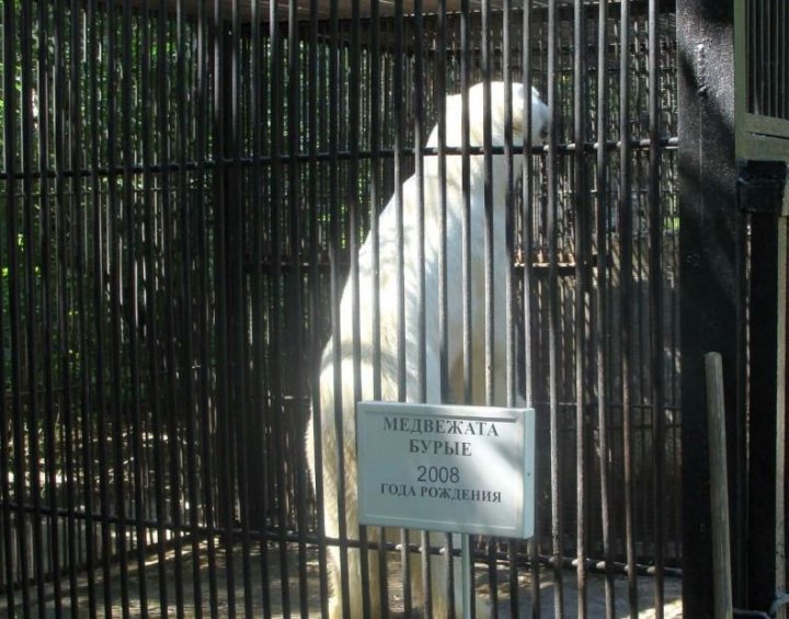 так вот ты какой...