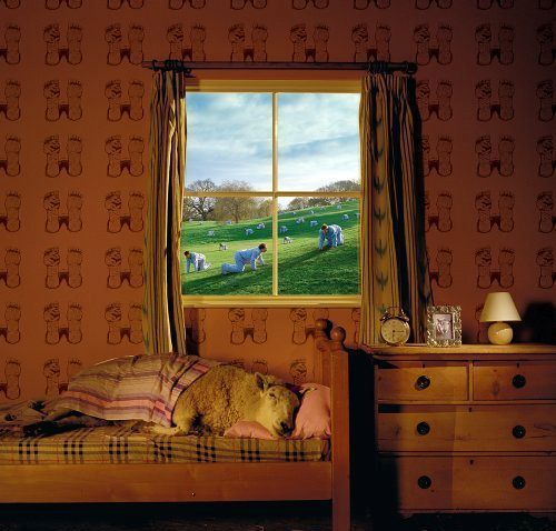 Хоть во сне побуду человеком!