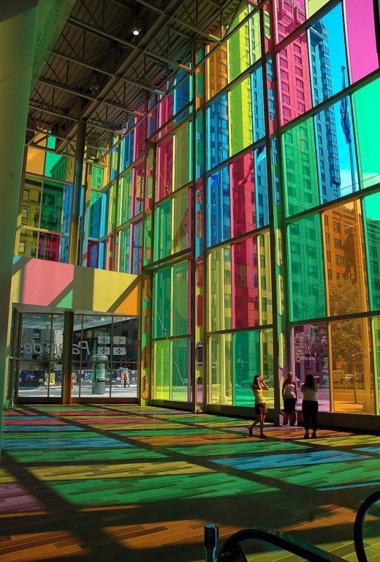 мы живем в разноцветном мире