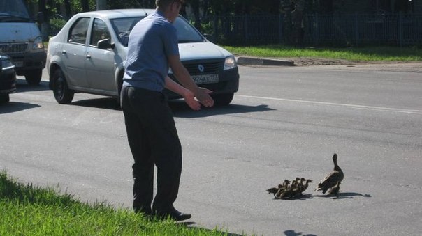 Всем стоять! Наш хозяин в ГИБДД работает!