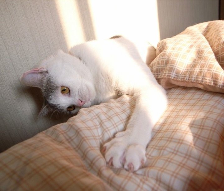 Ох и хозяка! И не выровняла и кантик не подбила.. В армию бы тебя...