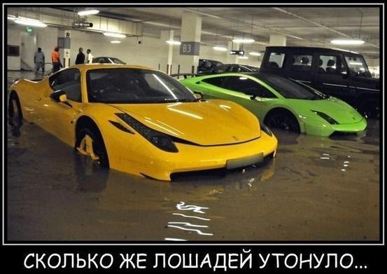 Купание коней