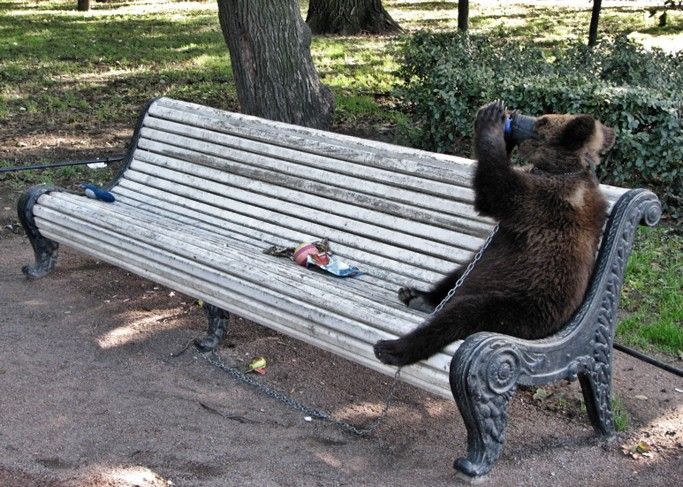 Сяду на пенек, съем пирожок