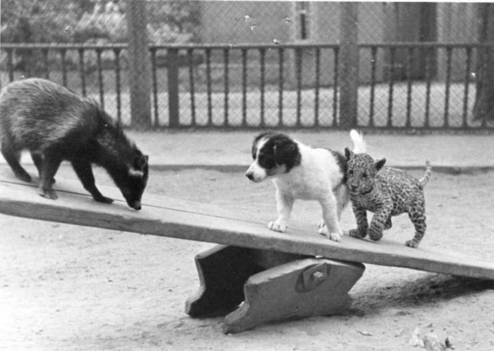 Мда.. легкий ты какой-то...