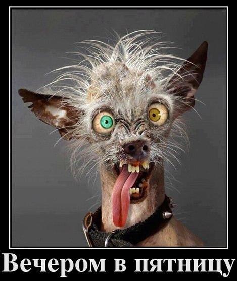 НЕЕЕЕ... Это утро, понедельник!