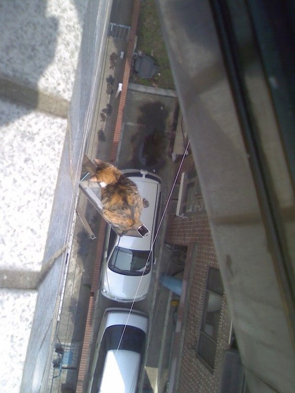 Кому-то сейчас нежданчик прилетит...