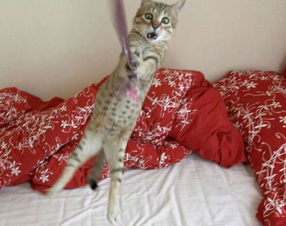 Ой ё-е-е-е-е!