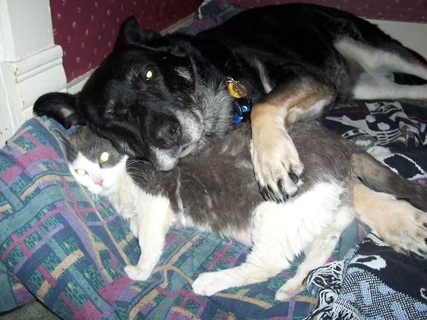 Улыбайся, нас снимают!