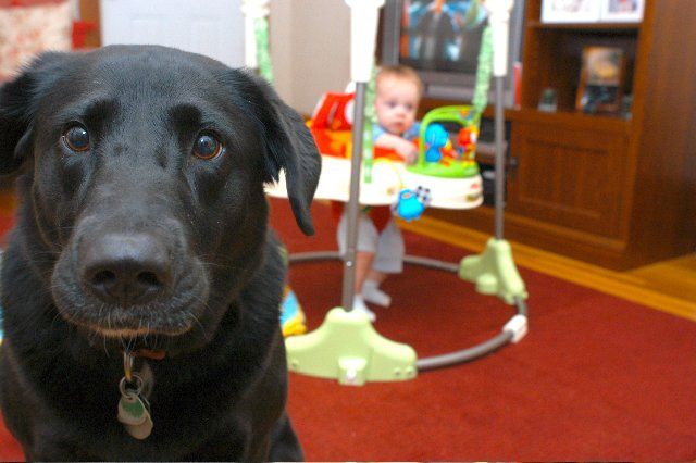 Этот ребенок невыносим! То уши ему не нравятся, то усы..