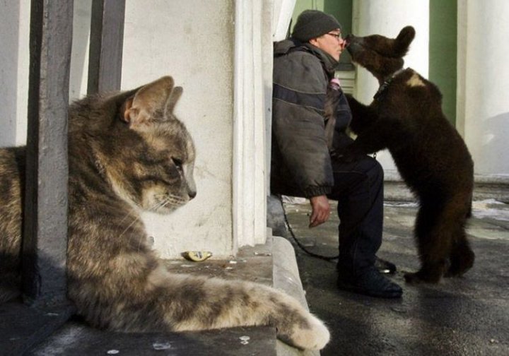 мда.. влип мой хозяин..