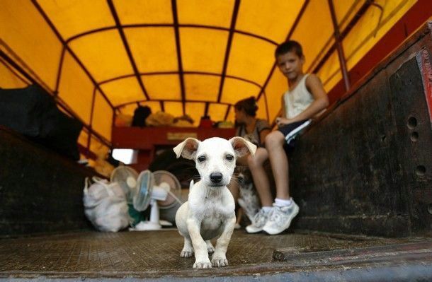 я здесь самый храбрый.. на охране..