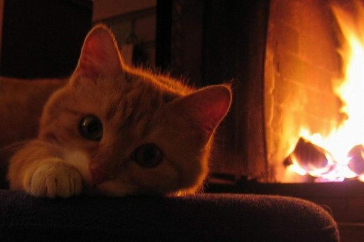 Прикольно я тут устроился, да?