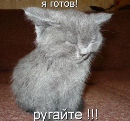 Я готов, ругайте!