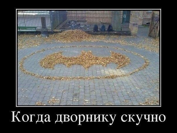 Когда дворнику скучно