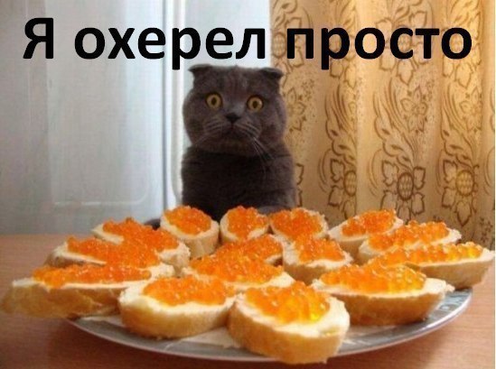 Тяжёлая жизнь олигарха: опять забыл кошачьего корма купить!