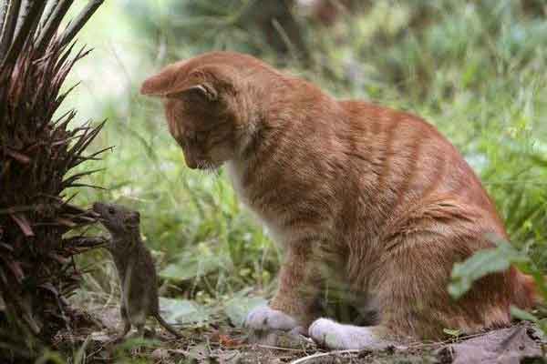 Ну, подкрепись - вкуснее станешь!
