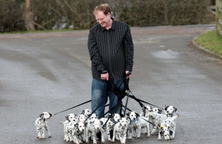 Продавец шаурмы...