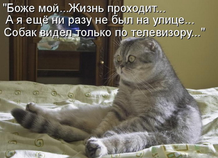 Боже мой!.. Жизнь проходит!