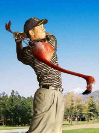 Алиса, ты ли это? Жизнь тебя не пощадила!