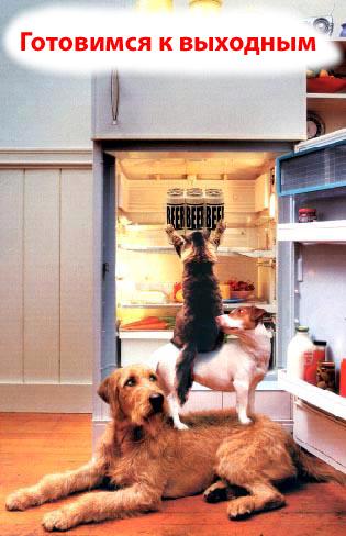 готовимся к выходным