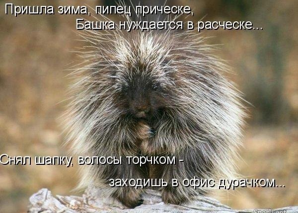 Пришла зима. Прическа - супер!