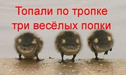 топали по тропке...