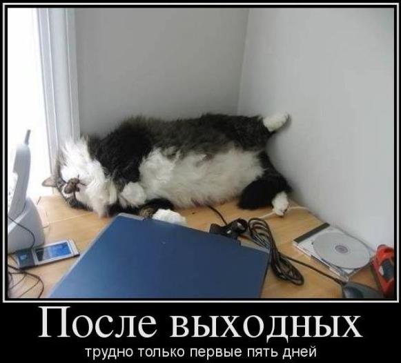 после выходных трудно только первые пять дней...