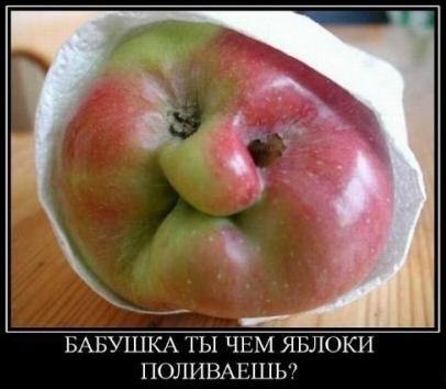 яблоку явно не нравится...