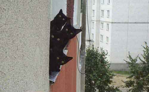 Раньше ты боялся нашу маму... А теперь и нас бойся!