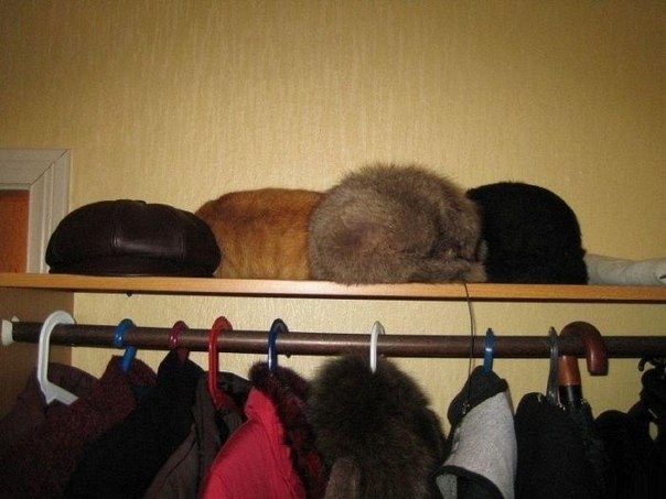 Замаскировался