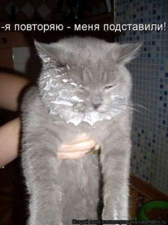 явно ложное обвинение