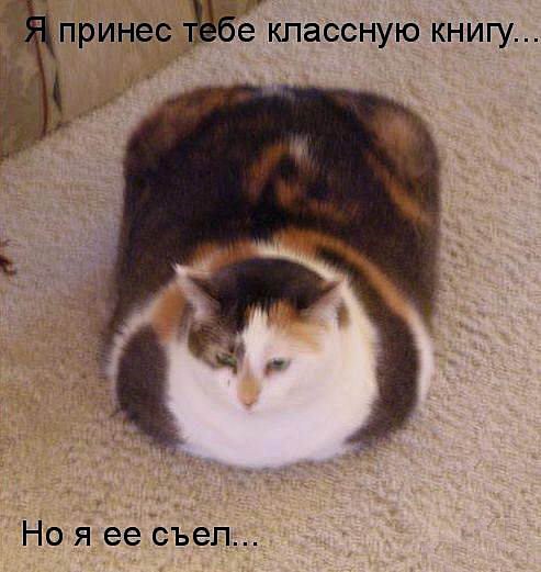 мда.. классная книжка была..