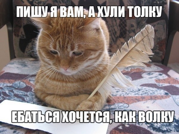 пишу я вам...