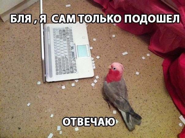 И как тут не поверить?