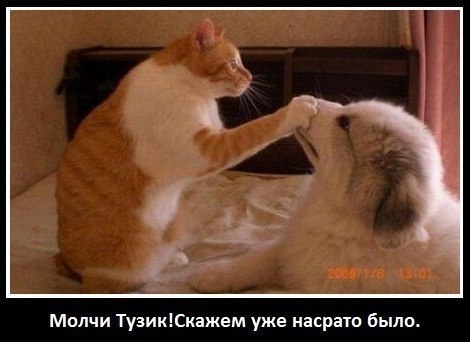 скажем что так и было...