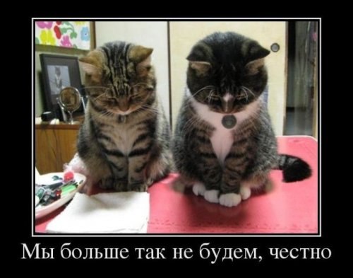 правда-правда...