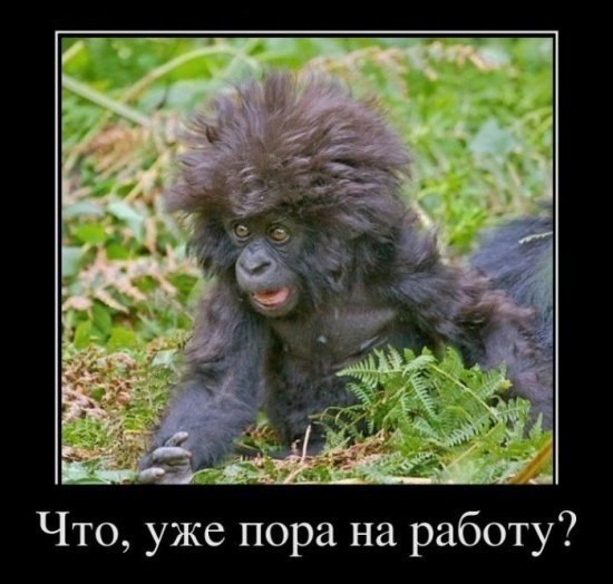 мама! ты - самая красивая!