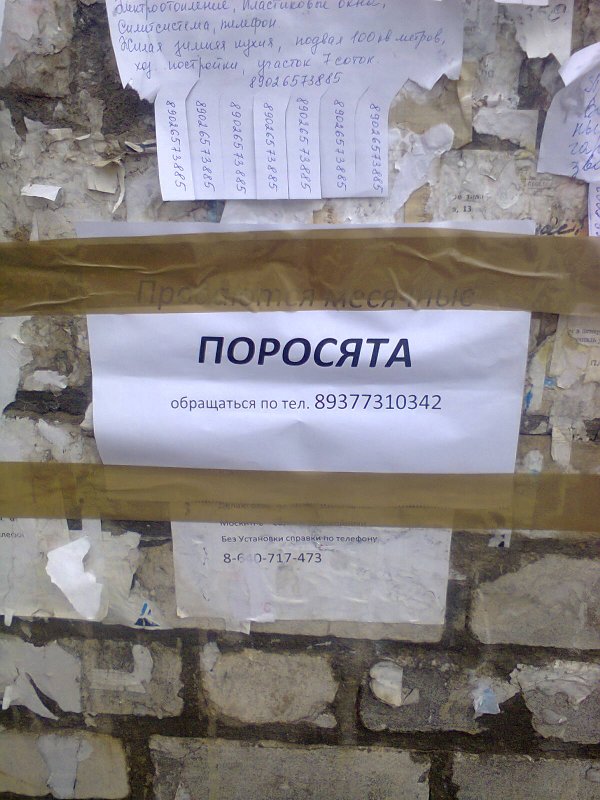 Спросить фунтика.