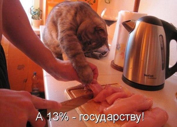 Хорошо знать законы