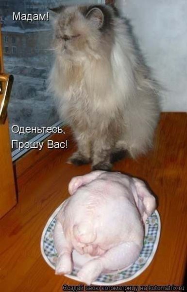 Фуууу.. Никакой интриги..... Даже без белья.....