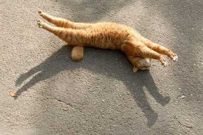 ..и.. встали.. и.. потянулись..