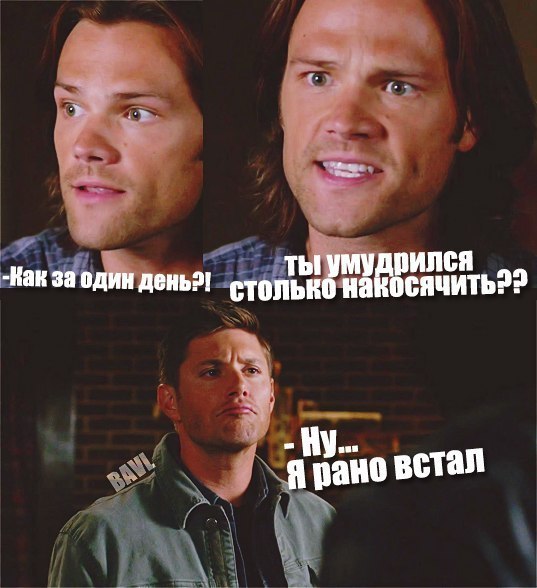 кто рано встает..