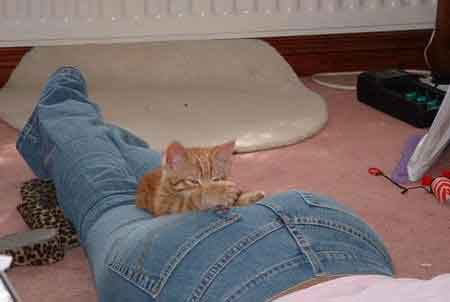 эй, хозяйка, у меня-то нюх ниче так.. пожалела бы...