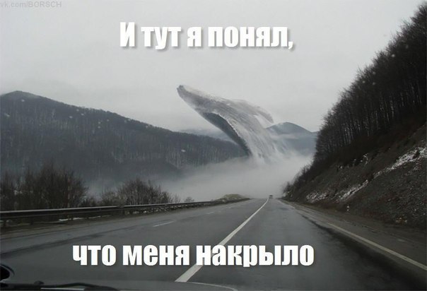 Вот въезжаю на поляну: поперек ее лежит чудо-юдо Рыба-кит...