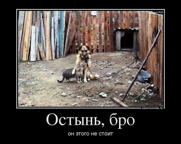 надежная подписка