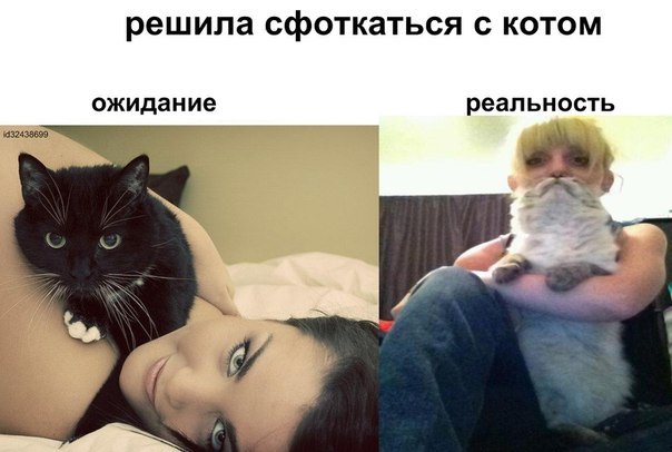 люблю своего кота