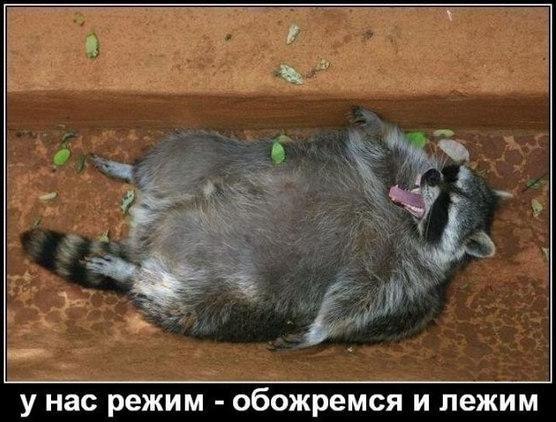 Соблюдаем режим