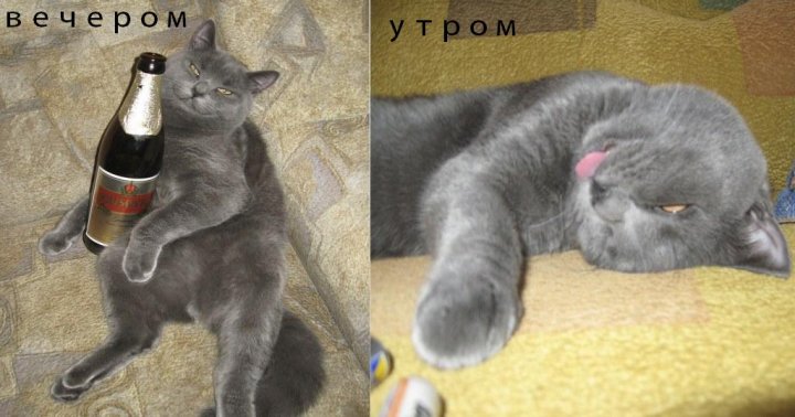 вечером и утром