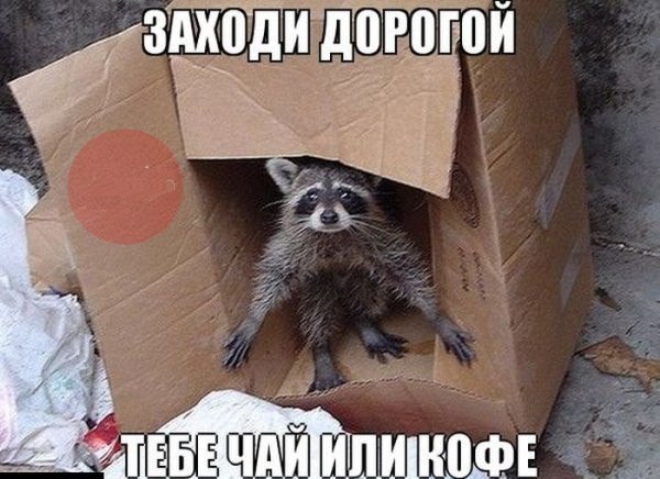 радушный хозяин